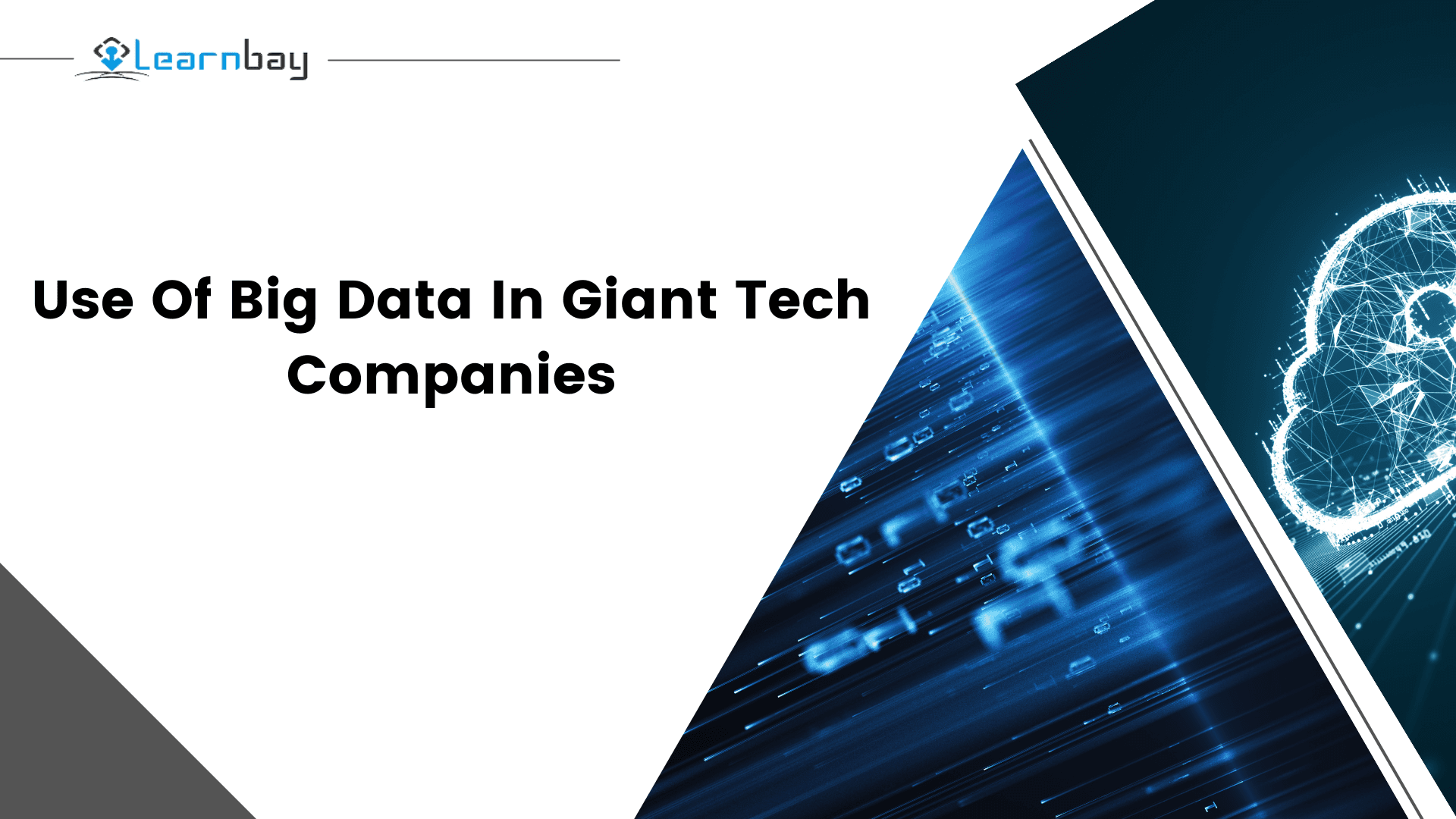 How is Big Data Used in Giant Tech Companies?